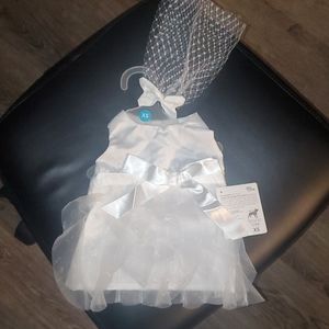 Dog wedding dress & veil